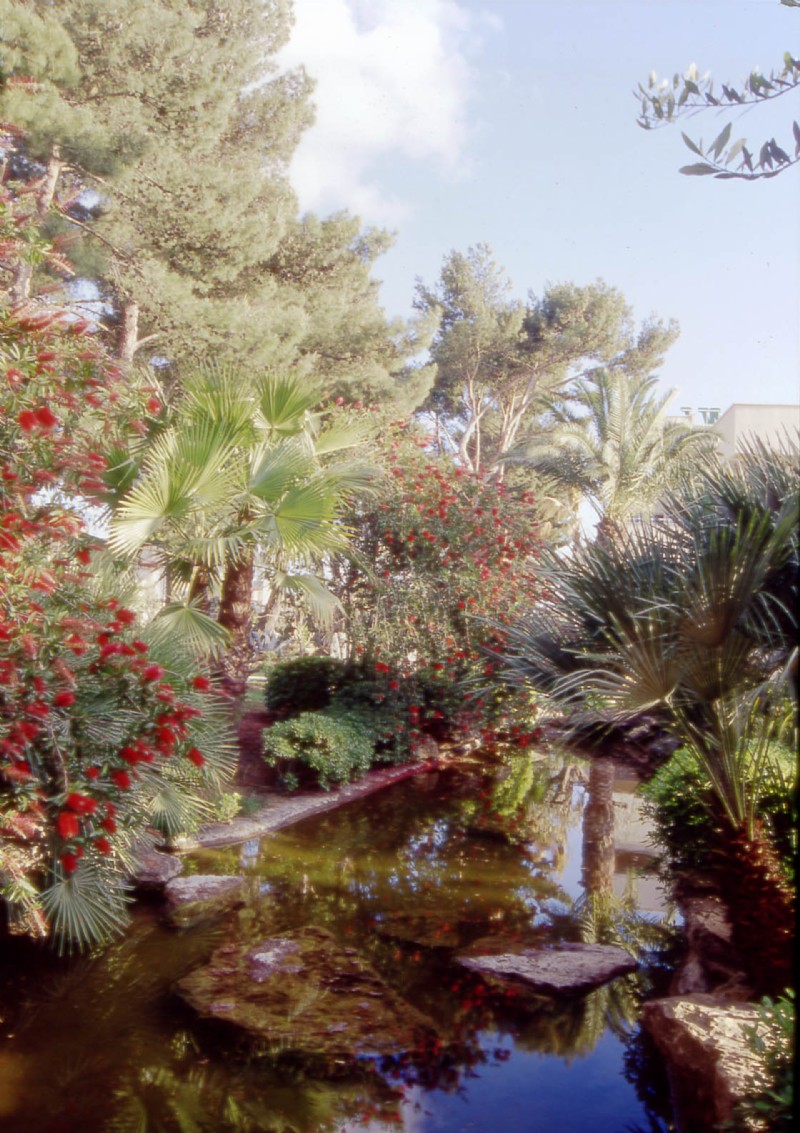 PARCO DEI PINI - Partanna, Trapani