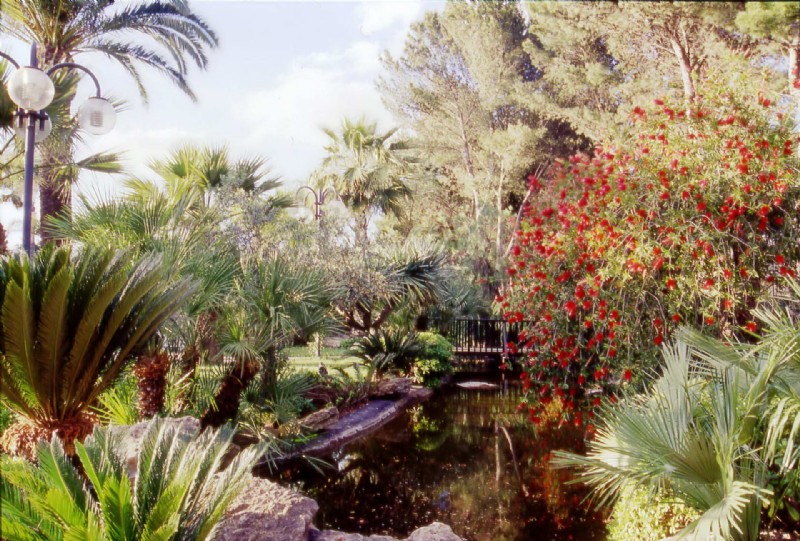 PARCO DEI PINI - Partanna, Trapani