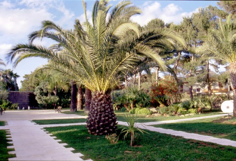 PARCO DEI PINI - Partanna, Trapani